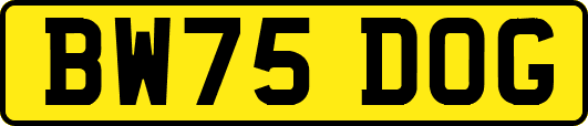 BW75DOG