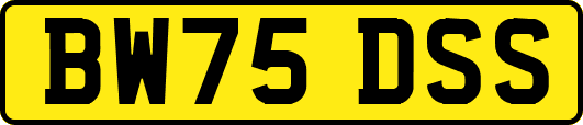 BW75DSS