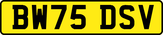BW75DSV