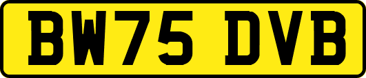 BW75DVB
