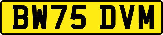 BW75DVM
