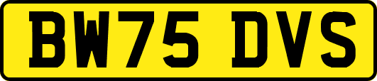 BW75DVS