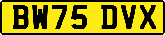 BW75DVX