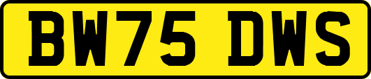 BW75DWS