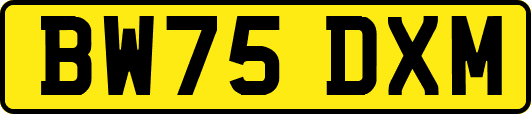 BW75DXM