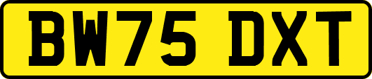 BW75DXT