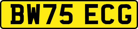 BW75ECG
