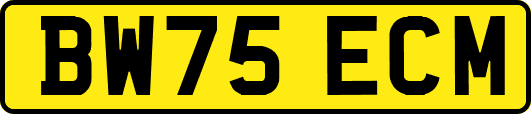 BW75ECM