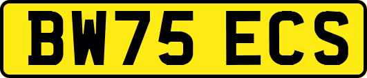 BW75ECS