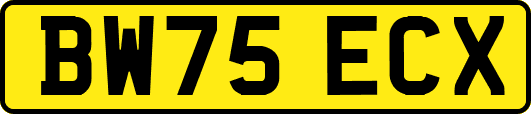 BW75ECX