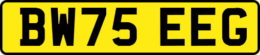 BW75EEG
