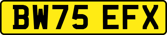 BW75EFX