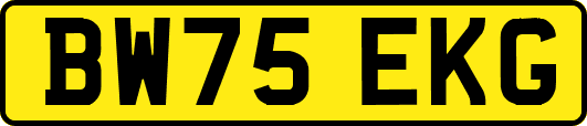 BW75EKG