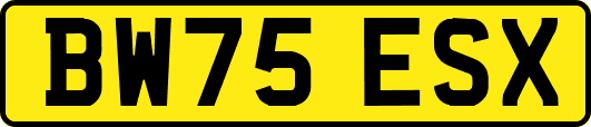 BW75ESX