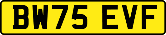 BW75EVF