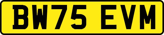 BW75EVM