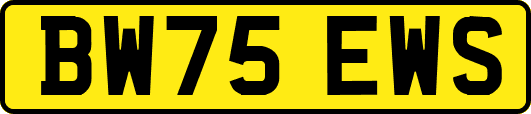BW75EWS