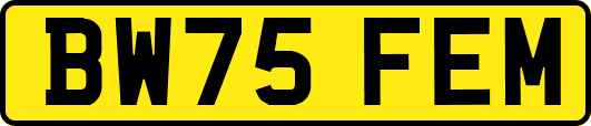 BW75FEM