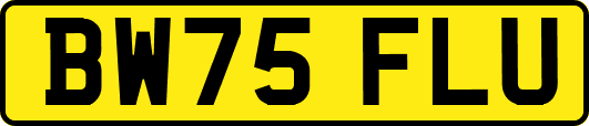 BW75FLU