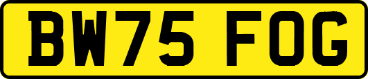 BW75FOG
