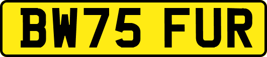 BW75FUR