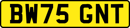 BW75GNT