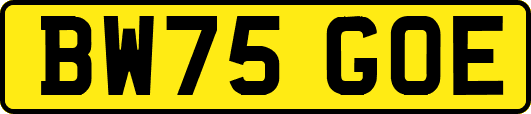 BW75GOE