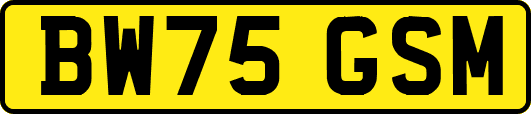 BW75GSM