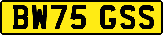 BW75GSS