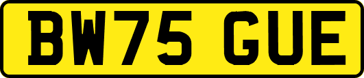 BW75GUE