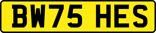 BW75HES