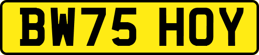 BW75HOY