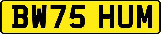 BW75HUM