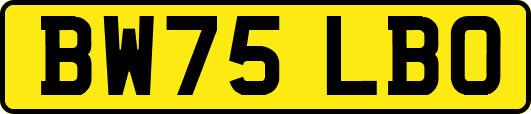 BW75LBO