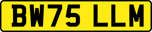 BW75LLM