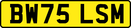 BW75LSM