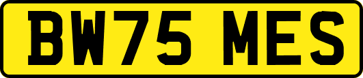 BW75MES