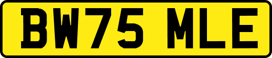 BW75MLE
