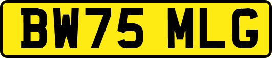 BW75MLG