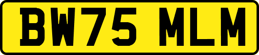 BW75MLM