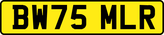 BW75MLR