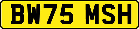 BW75MSH