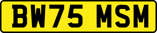 BW75MSM