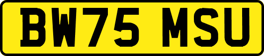 BW75MSU