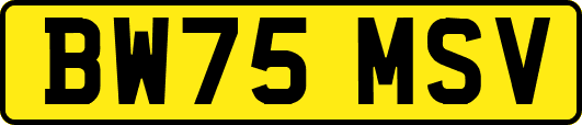 BW75MSV