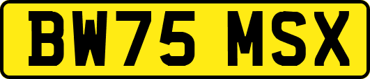 BW75MSX