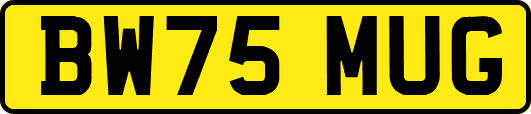 BW75MUG