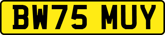 BW75MUY