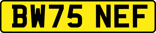 BW75NEF