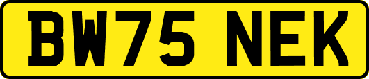 BW75NEK